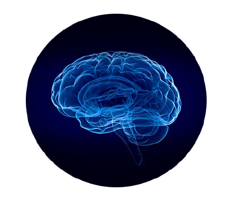 Vitalidad cognitiva Bluewake